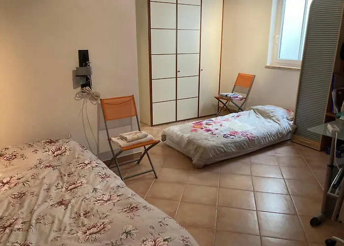 Riccardoshome Haar (Munich)